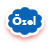 Özel Servis